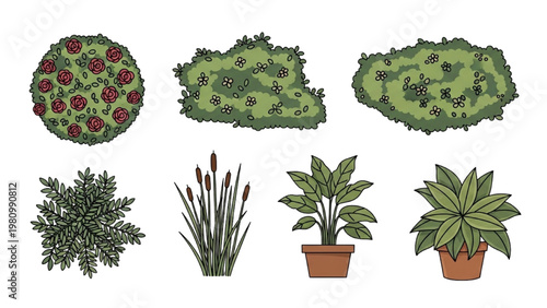 Vector 2D CAD illustration of various plants and bushes in pots and ground