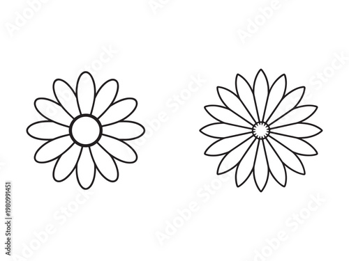 Line drawing of two flowers with many petals  simple floral design elements  illustration