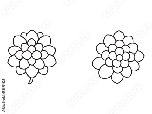 Line drawing of two identical flowers side by side with many petals and one with a stem  simple black and white floral illustrations