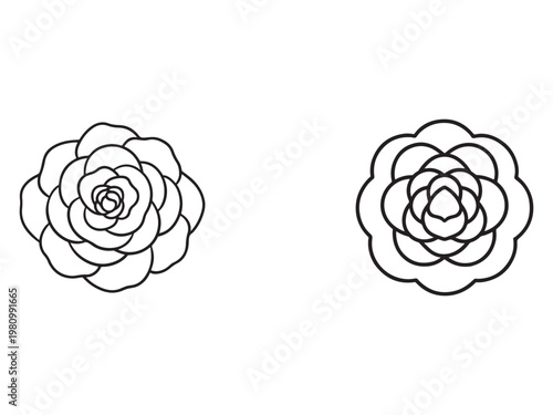 Line drawing of two identical flowers with many petals  simple black outlines on white background