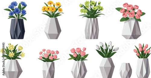 Colorful Flower Vases with Various Blooms in Geometric Pots for Home and Interior Decoration Illustration