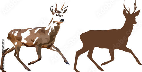Two roe deer illustrations a detailed comparison of form and color in wildlife art
