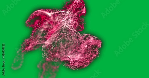 Animation of pink smoke trail with particles flowing on white background