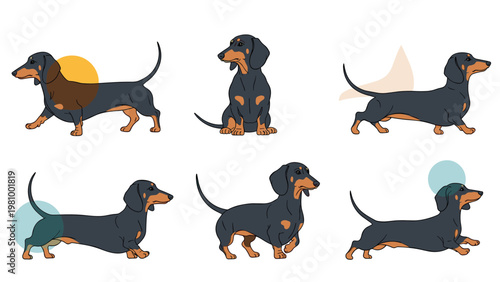 Charming set of cute dachshund dog illustrations shown in various active poses including sitting walking and running fast.