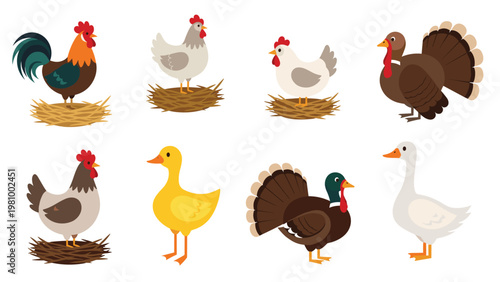 Assorted farm poultry including chickens a rooster turkey ducks and geese in a rustic and detailed illustrated style.