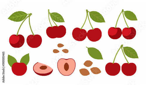 Cherry fruit collection flat vector with red juicy berries leaves halves and pits isolated on white