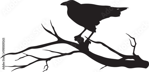 Silhouette of a raven perched on a tree branch