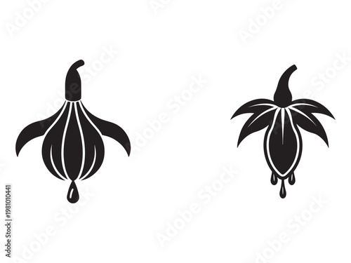 Black and white illustrations of two different views of a cocoa pod with white highlights and drops of cocoa  isolated on white background