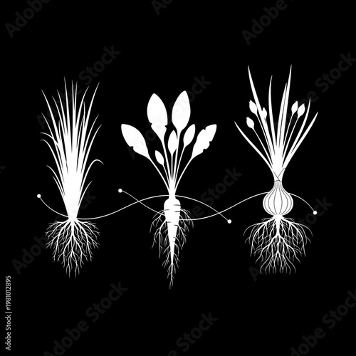 Stainless Steel Kitchen Whisk Vector Illustration for Cooking and Baking Design Elements