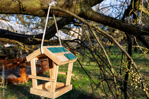 Quadro su tela On a sunny spring day in a city park, a bird feeder hangs from a tree branch