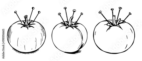 Classic tomato pincushion set with sketchy black line art featuring pins, tomato, white background with texture and color contrast
