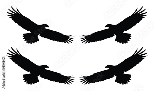 Eagle silhouette vector set, flying hawk bird of prey icons, black soaring eagle shapes on white background, 4 eagle elements for logo design