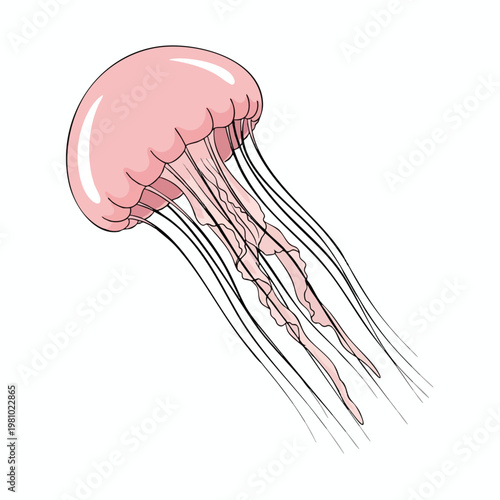 Colorful Illustration of a Jellyfish with Flowing Tentacles