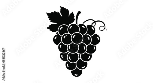 A black graphic of a bunch of grapes and vine strikingly shown as a silhouette