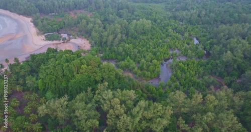 Epic drone perspective over Koh Phra Thong showing a winding mangrove waterway opening into the sea. Deep green forest contrasts with bright sandy shore and blue ocean, capturing the raw beauty