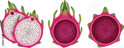 Set of Dragon Fruit Vector Illustrations with Pink Skin, White and Red Flesh, and Black Seeds in Different Views