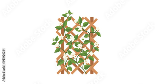Lush green foliage and white blossoms intertwine through a diagonal criss-cross wooden garden trellis positioned centrally in the frame on white space.