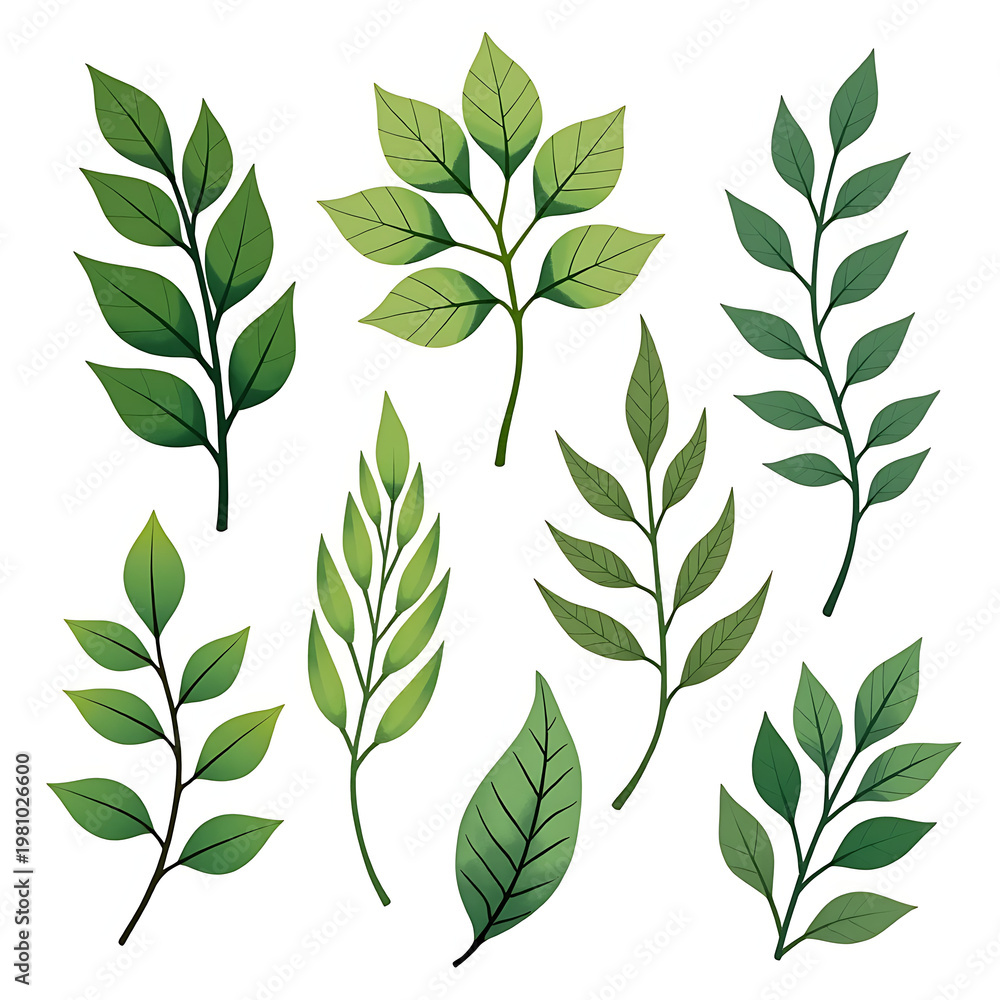 Fototapeta premium Collection of green leaves and branches isolated on white background natural botanical elements for design.