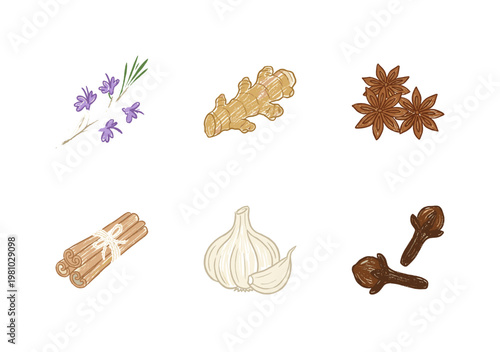 Culinary Spices and Aromatic Kitchen Herbs with Colorful Crayony Pencil Texture and Organic Colorful Textures