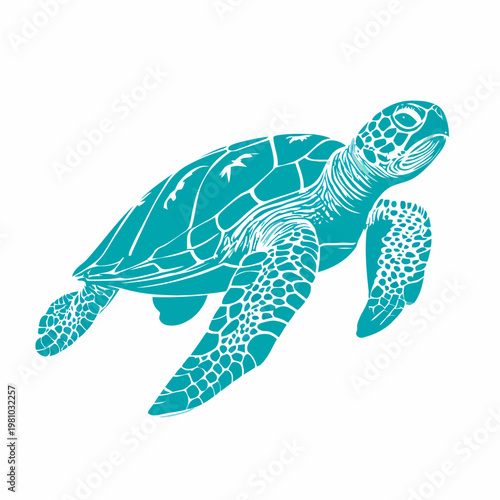 A sea turtle swims through the ocean with its shell and flippers visible clearly.