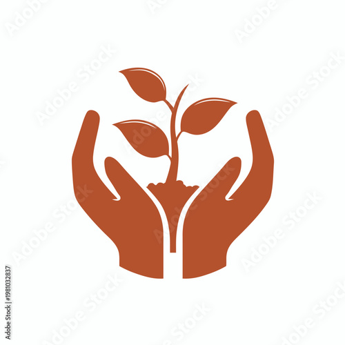 Hands nurture a small plant with care indoors