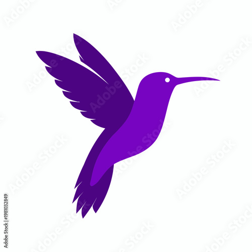 A purple hummingbird flies quickly in air with spread wings and long beak