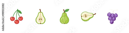 Pears and Orchard Fruit Varieties with Textured Crayon Pencil Texture in Crayon Colorful Style