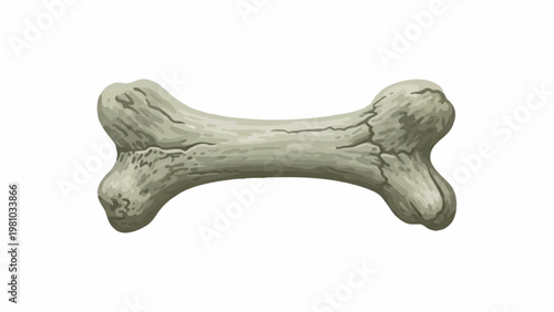 Vintage style hand-drawn illustration of an antique bone fragment, depicting natural wear and tear with visible cracks and a rugged texture, isolated on white