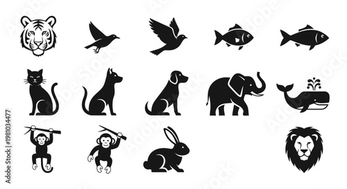 Simple blank concept image with no text or tags