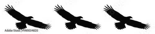Black eagle silhouette vector set, flying hawk bird icons, soaring predator raptor shapes, wild eagle flight sequence on white background