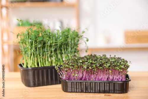 Different types of microgreens on wooden table indoors, closeup