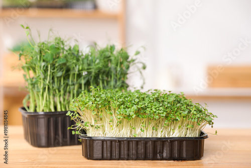 Different types of microgreens on wooden table indoors, closeup