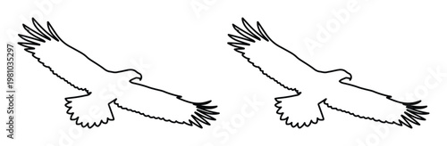Minimalist eagle outline vector set, flying hawk silhouette line art, soaring bird of prey contour illustrations for nature branding and logo design