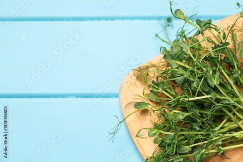 Fresh microgreens on blue wooden table, closeup. Space for text