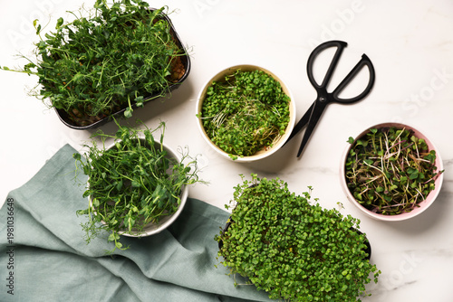 Different types of microgreens and scissors on white table, flat lay
