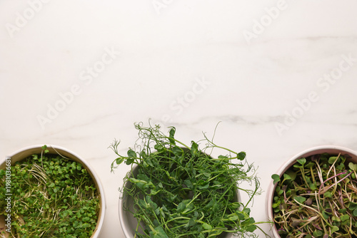 Different types of microgreens on white marble table, flat lay. Space for text
