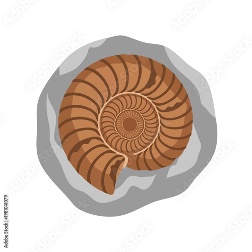 Close up of a Spiral Fossil in a Rock Setting for Nature and Paleontology Themes