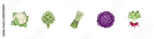 Fresh Garden Vegetables and Healthy Food Ingredients with Colorful Crayony Brush Strokes and Expressive Colorful Lines.