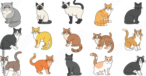 Comprehensive Vector Collection of Diverse Cat Breeds and Colors Featuring Siamese Tabby and Shorthair Felines for Professional Pet Care and Animal Themed Graphic Design Projects