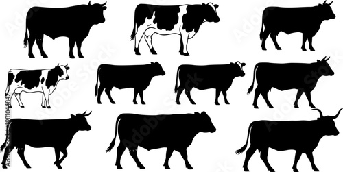 cow silhouette Vector set, cattle silhouettes, diverse breed of cows. Ideal for farm, ranch branding. Perfect for logos, decals. Black, white background. Bulls, cows, standing, walking, running