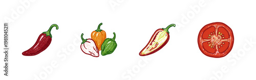 Chili Peppers and Spicy Vegetable Ingredients with Fluid Crayon Pencil Texture in Crayon Colorful Style