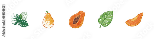 Tropical Papaya Fruit and Exotic Botanical Leaves with Gritty Colorful Crayon Textures and Fluid Brush Strokes