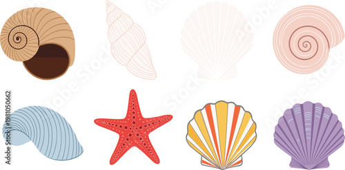 Set of Flat Sea Shell Icons and Red Starfish Illustrations Isolated on White Background for Summer Beach Patterns Marine Decor and Coastal Design Projects