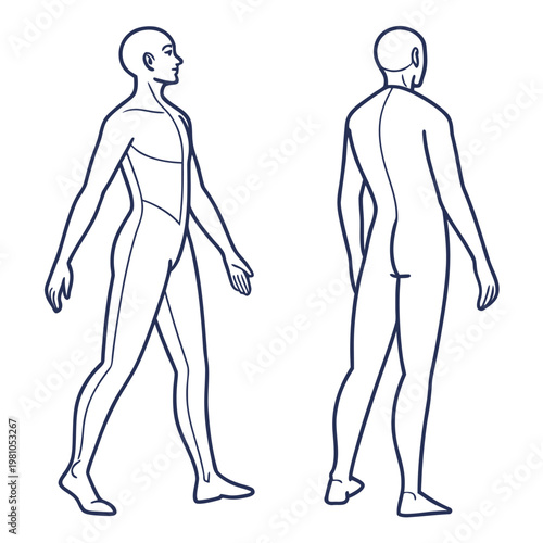 Outline drawing of human body front and side view walking pose line art
