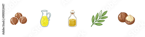 Macadamia Nut Oils and Botanical Ingredients with Fluid Crayon Pencil Texture in Crayon Colorful Style