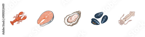 Seafood and Marine Life Culinary Ingredients with Colorful Crayony Pencil Texture and Organic Colorful Outlines