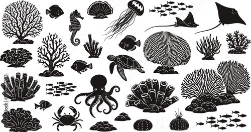 Black and white marine life illustration a diverse underwater ecosystem