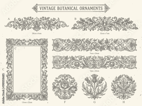 Vintage Botanical Ornaments Illustration Set with Floral Frames and Decorative Victorian Borders
