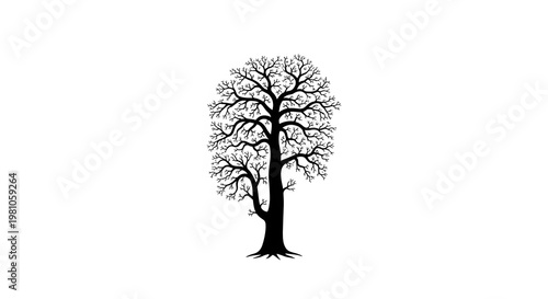 A black silhouette of a bare tree on transparent background