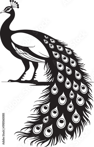 Elegant peacock standing with its magnificent tail feathers fully spread out